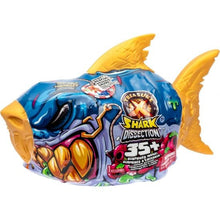 Shark dissection toy packaging with colorful design on a white background