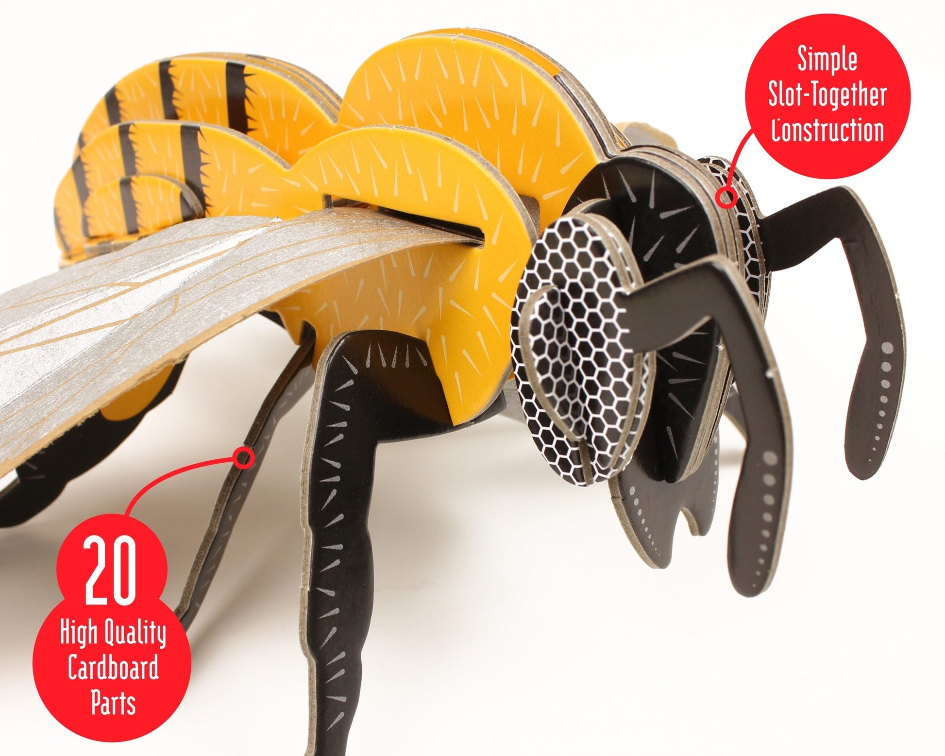 Cardboard bee model with text highlighting construction details on a white background