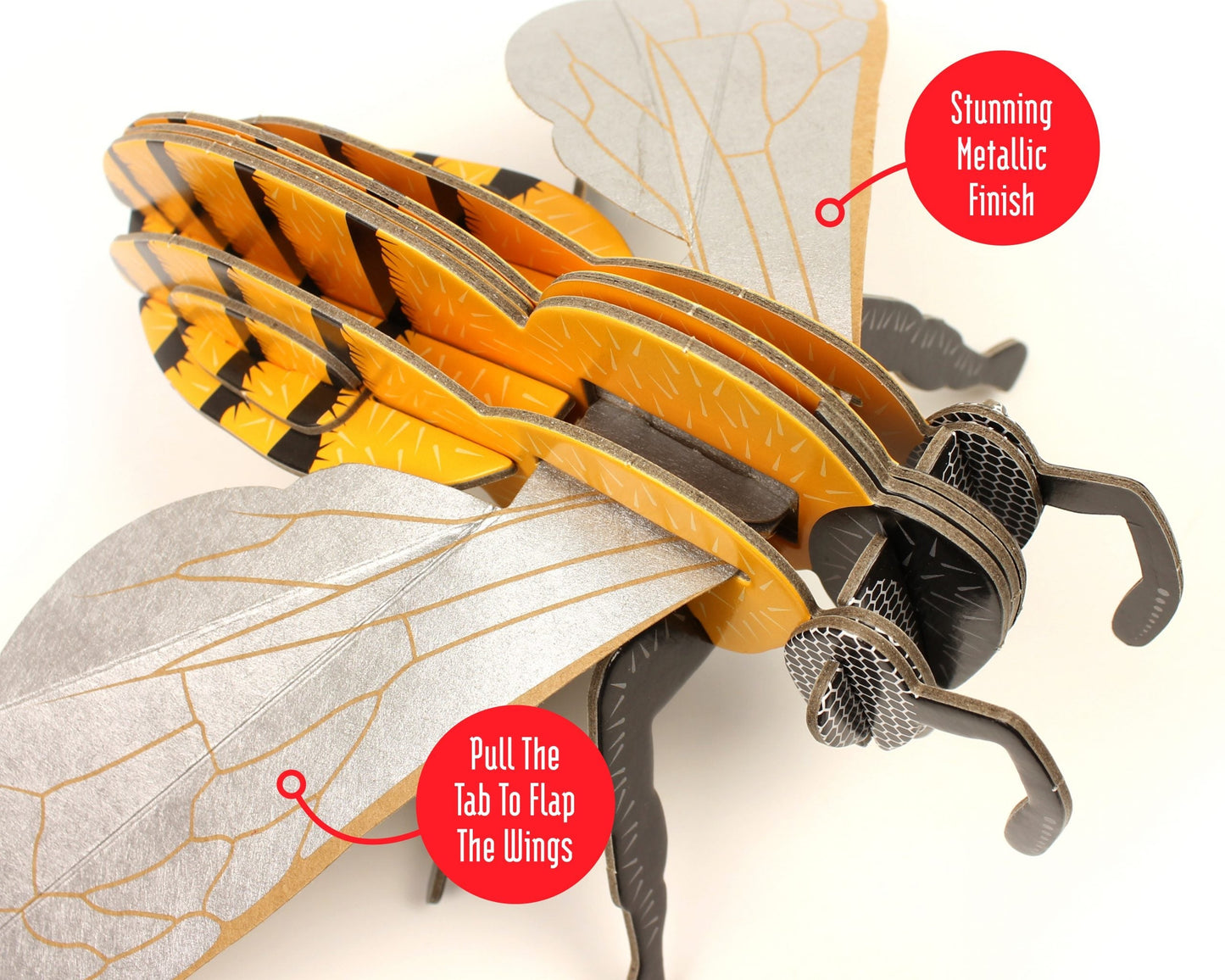 insect model with detailed wings and legs on a white background