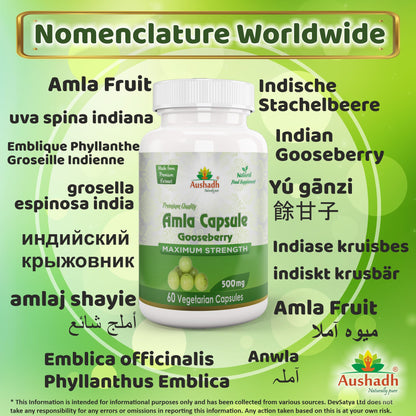 Amla Fruit (Gooseberry) Capsule
