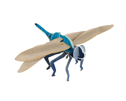 Dragonfly - Build Your Own