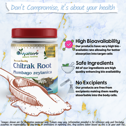 Chitrak Powder (Plumbago zeylanica)