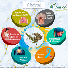 Chitrak Powder (Plumbago zeylanica)