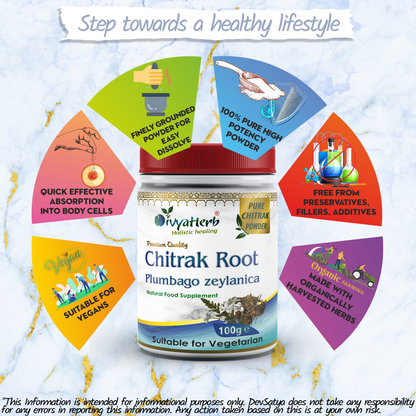 Chitrak Powder (Plumbago zeylanica)