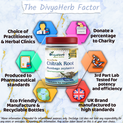 Chitrak Powder (Plumbago zeylanica)