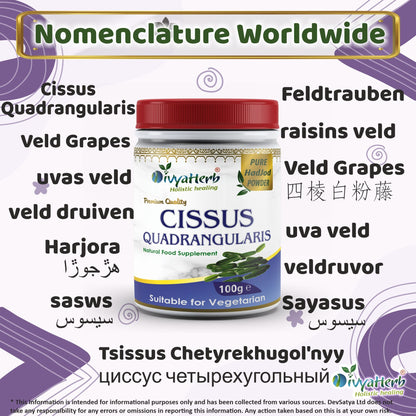 Cissus Quadrangularis Powder