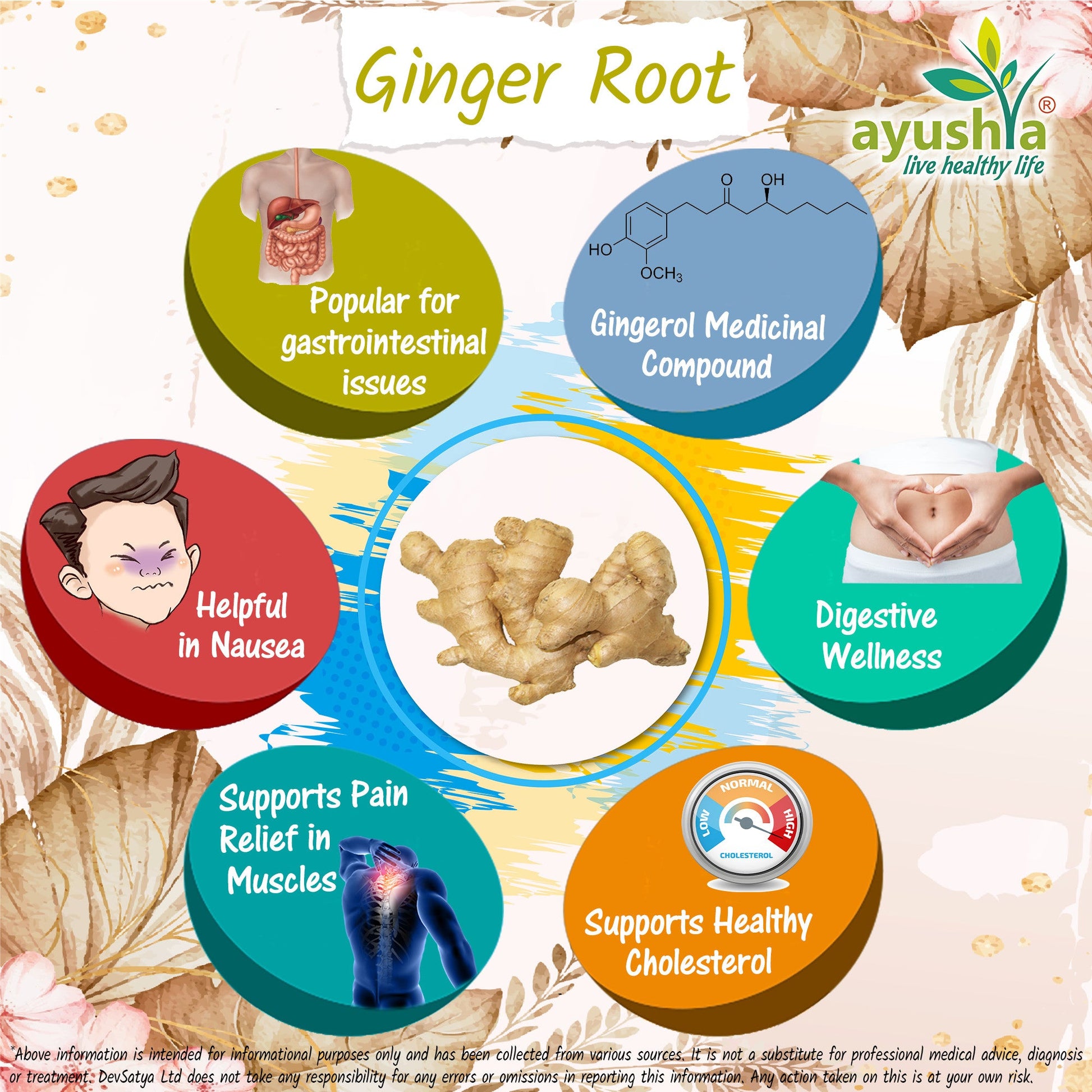 Ginger Root (Sunthi) Capsule