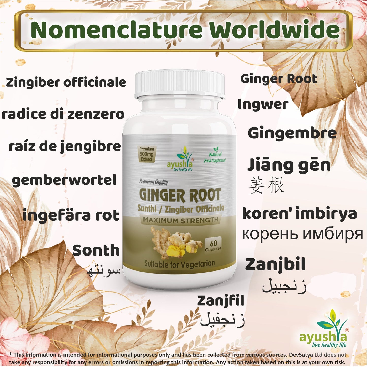 Ginger Root (Sunthi) Capsule
