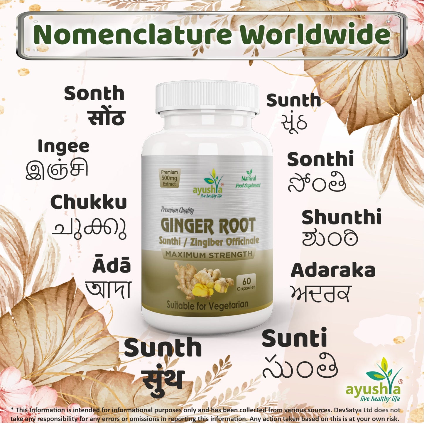 Ginger Root (Sunthi) Capsule