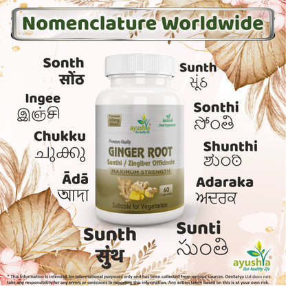 Ginger Root (Sunthi) Capsule