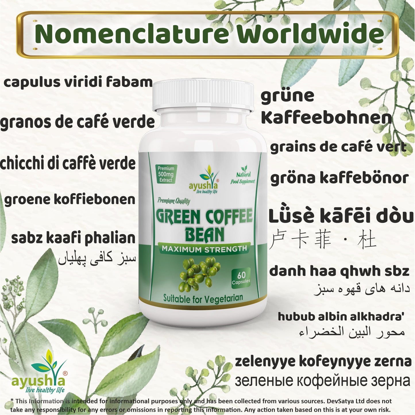 Green Coffee Bean Capsule
