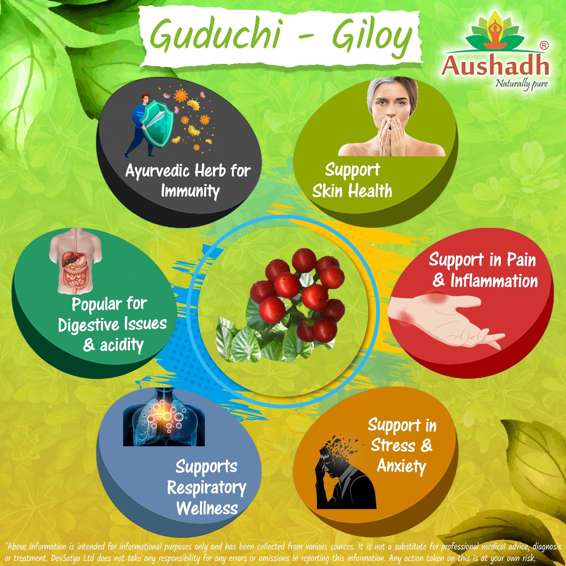 Giloy Guduchi Powder (Tinospora Cordifolia)