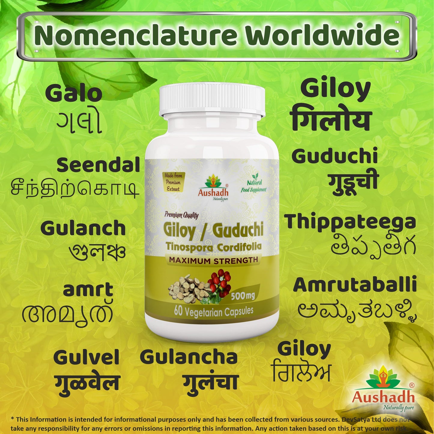 Giloy Guduchi Capsule (Tinospora Cordifolia)
