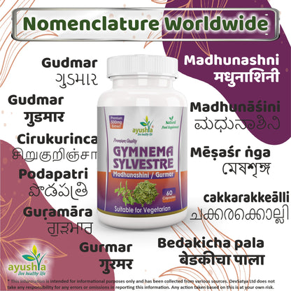 Gymnema Sylvestre (Madhunaashini) Capsule