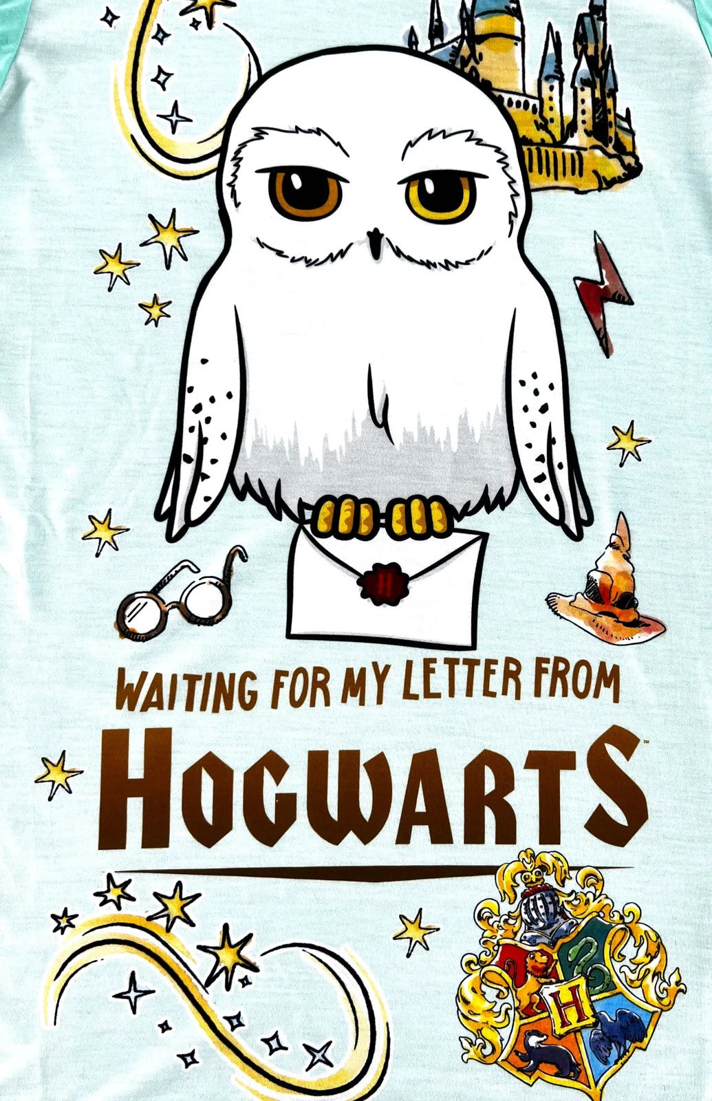 Illustration of a owl with text 'Waiting for my letter from Hogwarts' on a light blue background.