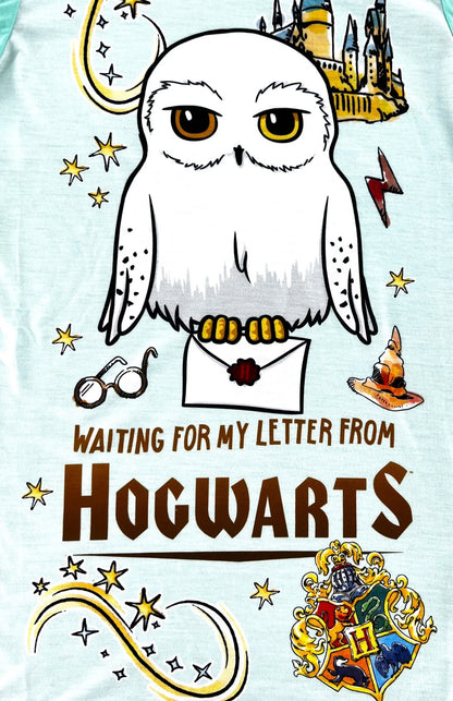 Illustration of a owl with text 'Waiting for my letter from Hogwarts' on a light blue background.