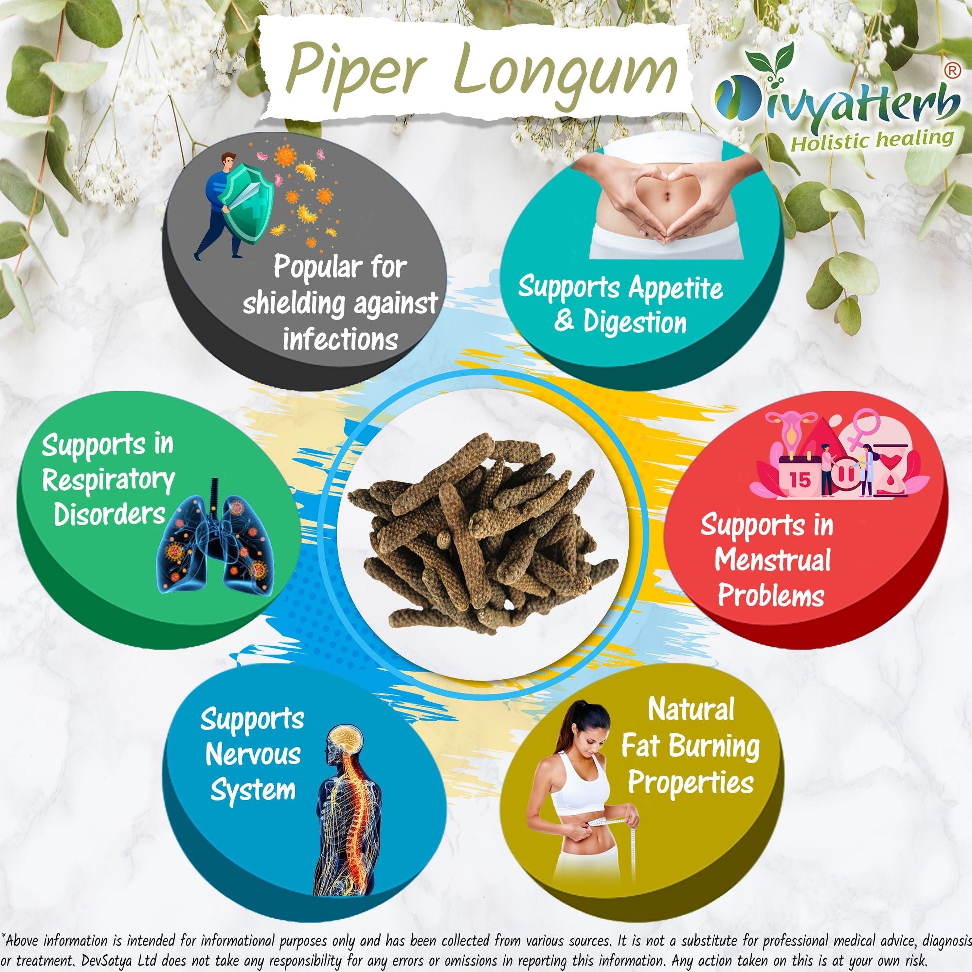 Long Pepper Powder (Piper Longum - Pippali - Lindi Piper)