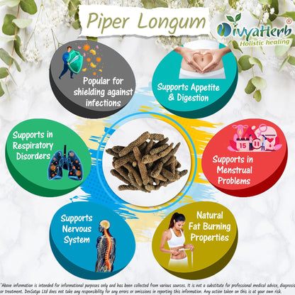 Long Pepper Powder (Piper Longum - Pippali - Lindi Piper)