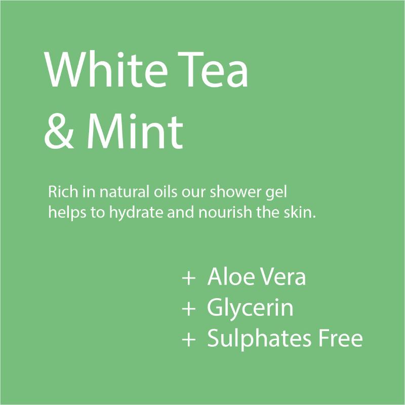 Body Wash - White Tea & Mint