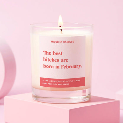 February Birthday Gift Funny Birthday Gift Candle February Birthday Bitch
