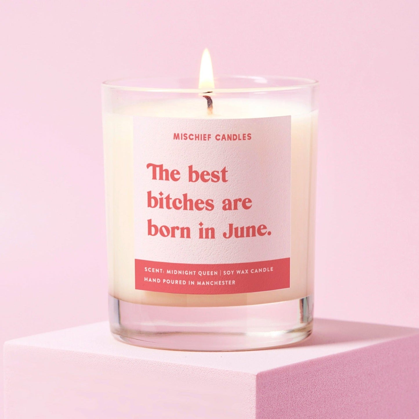 June Birthday Gift Funny Birthday Gift Candle June Birthday Bitch