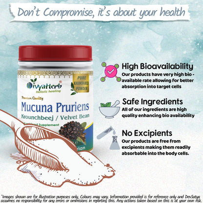 Mucuna Pruriens Powder