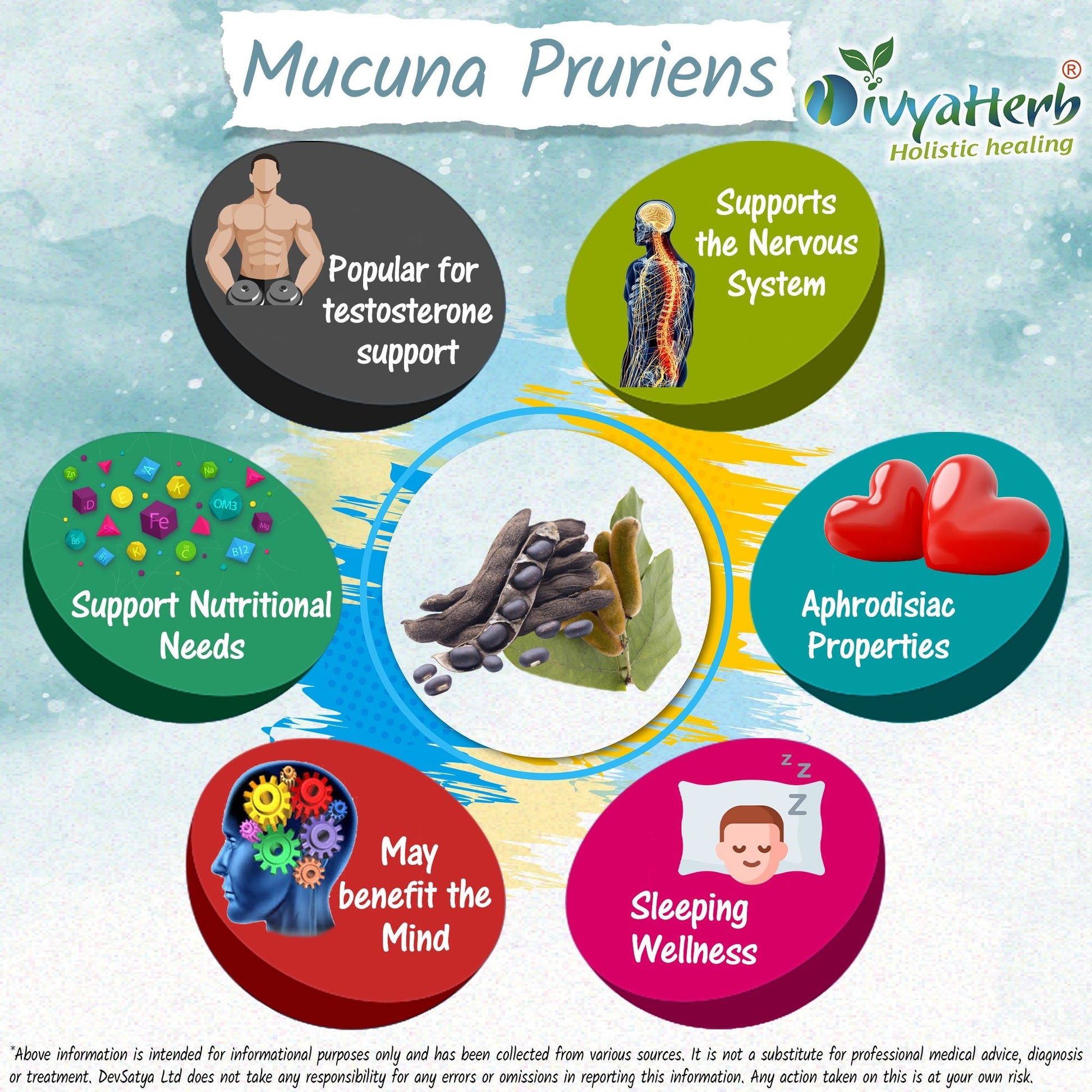 Mucuna Pruriens Powder