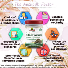 Shatavari Powder