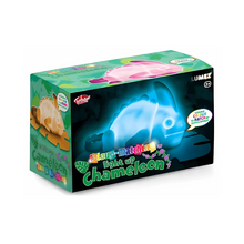 Box of a toy chameleon with colourful design on a white background