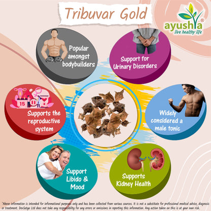 Tribulus Terrestris Extract Capsules