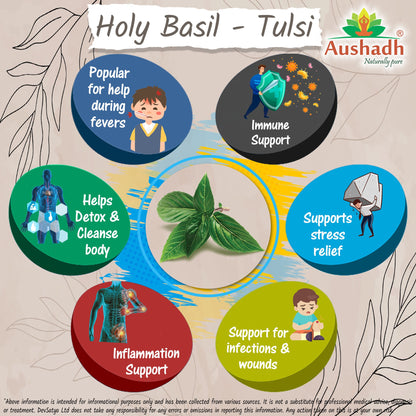 Holy Basil (Tulsi) Capsule