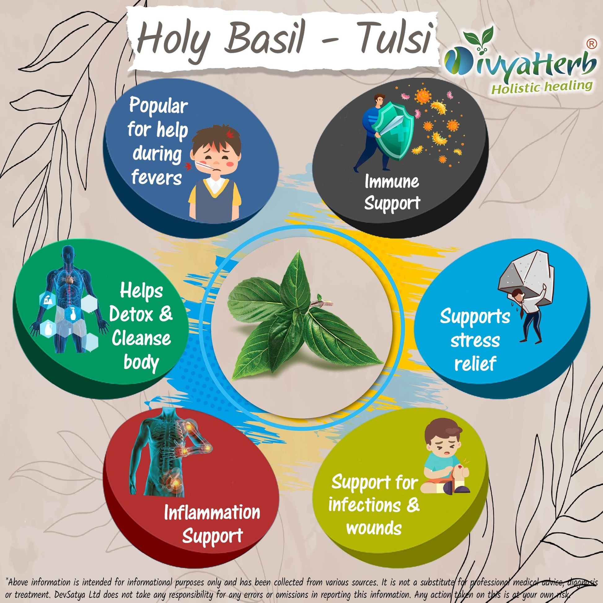 Holy Basil (Tulsi) Powder