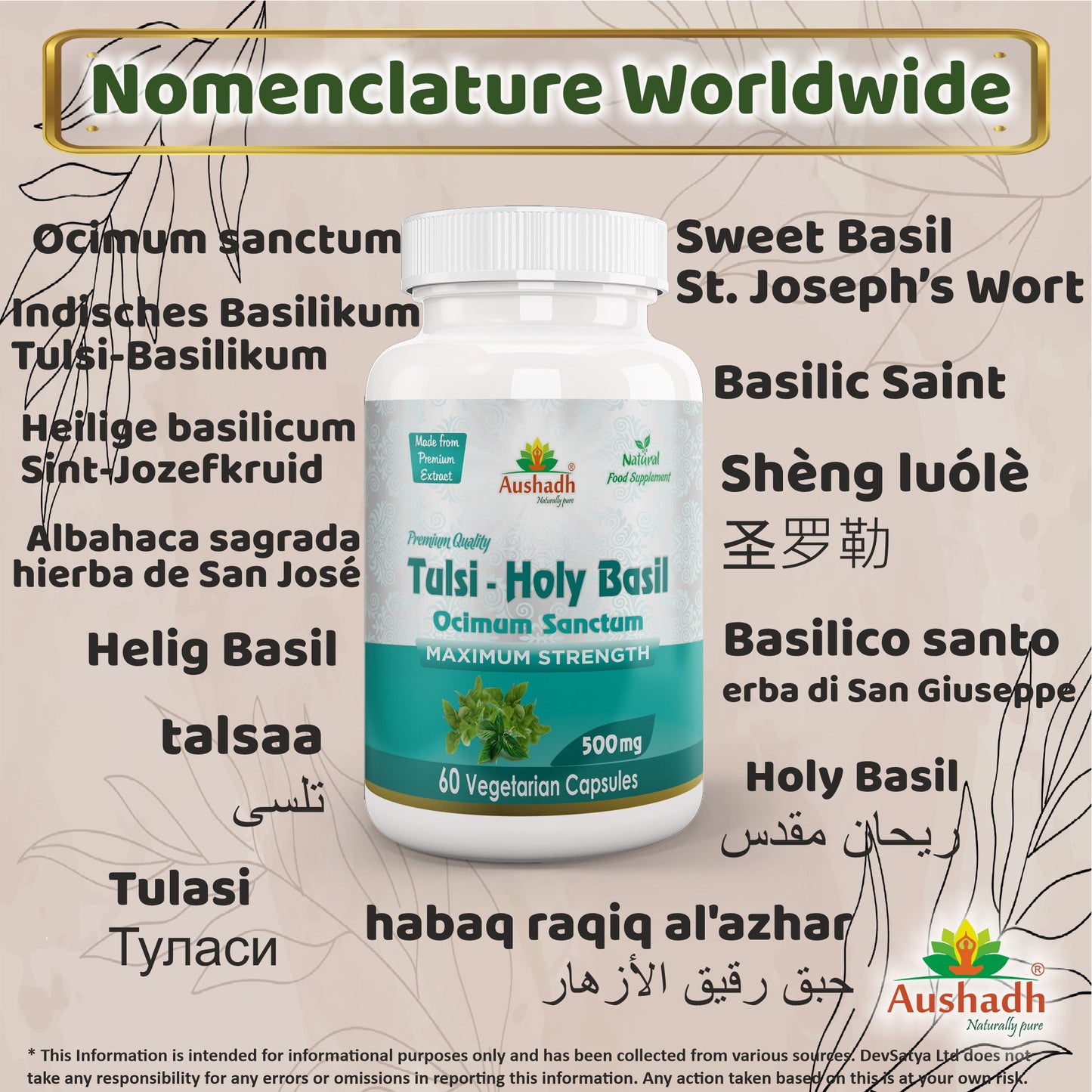 Holy Basil (Tulsi) Capsule
