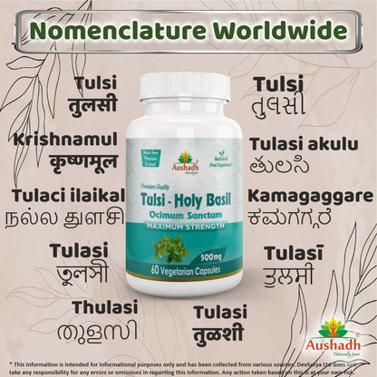 Holy Basil (Tulsi) Capsule