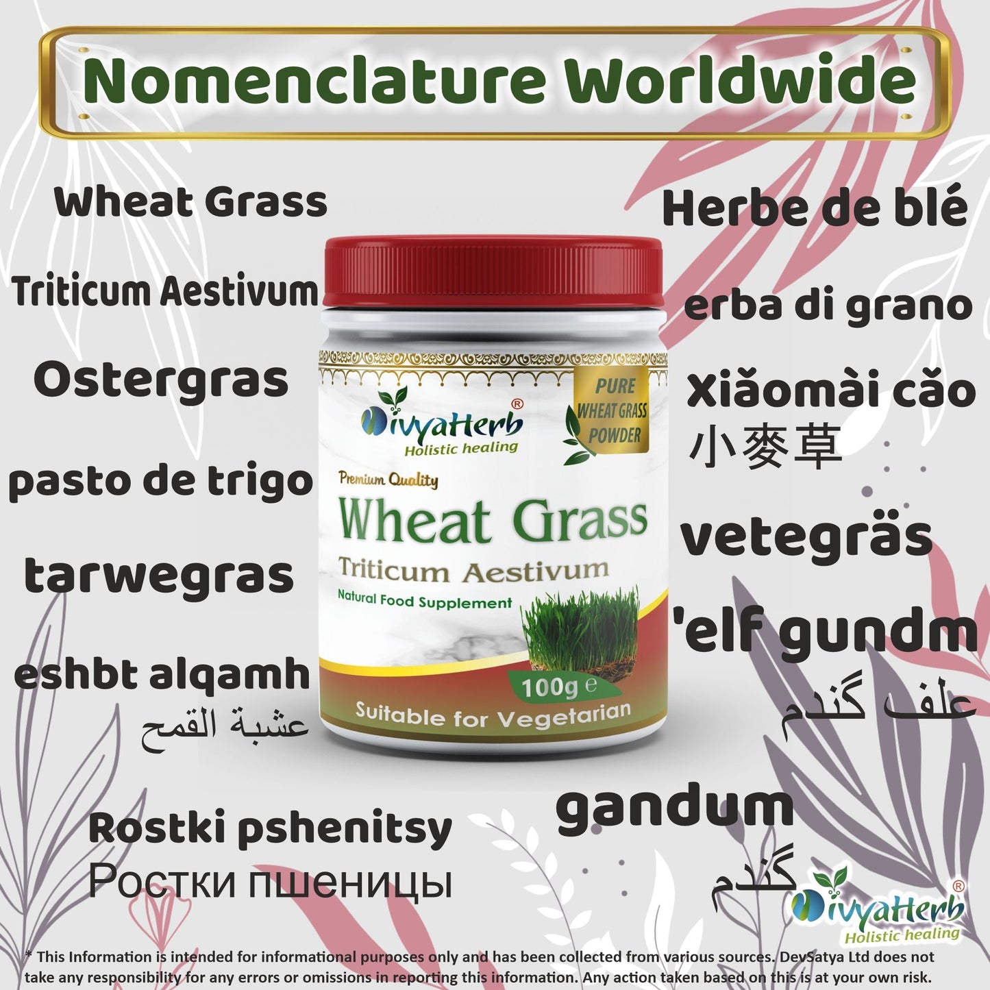 Wheat Grass Powder