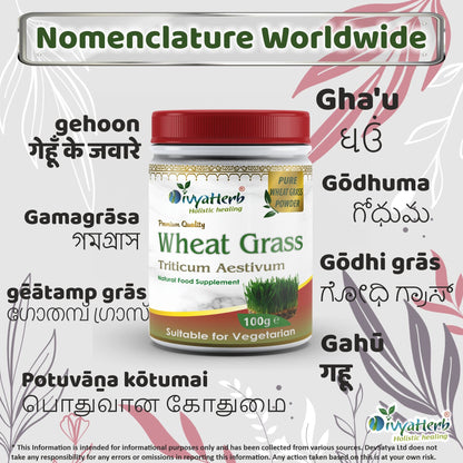 Wheat Grass Powder