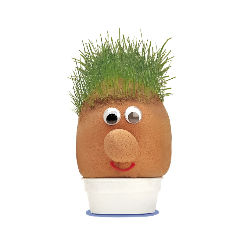 Cartoonish plant pot with grass hair, googly eyes, and a smiley face on a white background