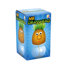 Box of Mr. Grasshead toy with a cartoon character on a blue background