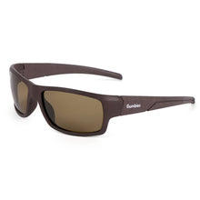Daintree Sunglasses - Coffee